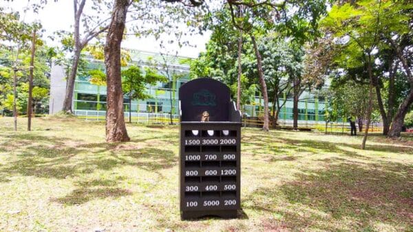juego-de-sapo_pony-park_01.jpg