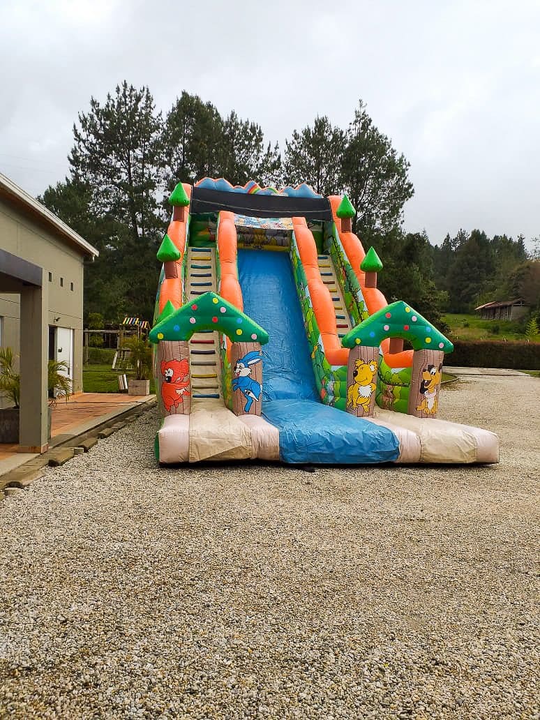 tobogan-inflable-jungla_pony-park_03.jpg